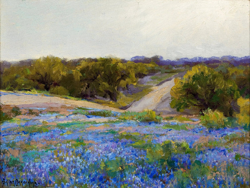 De blauwe lupines aan het einde van de middag - Julian Onderdonk