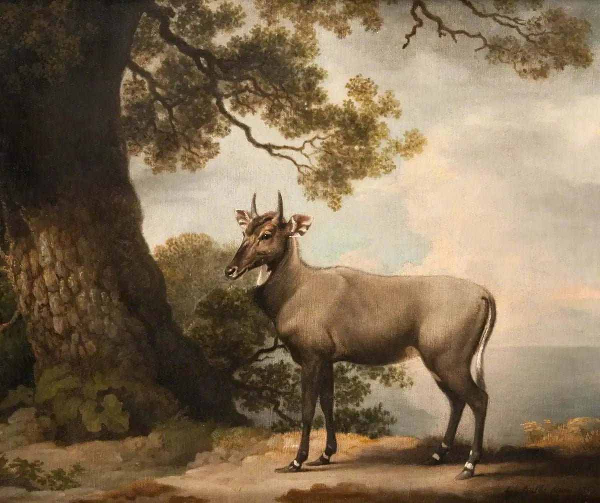 Les Nilgaïs - George Stubbs image 1 reproduction artisanale de tableau
