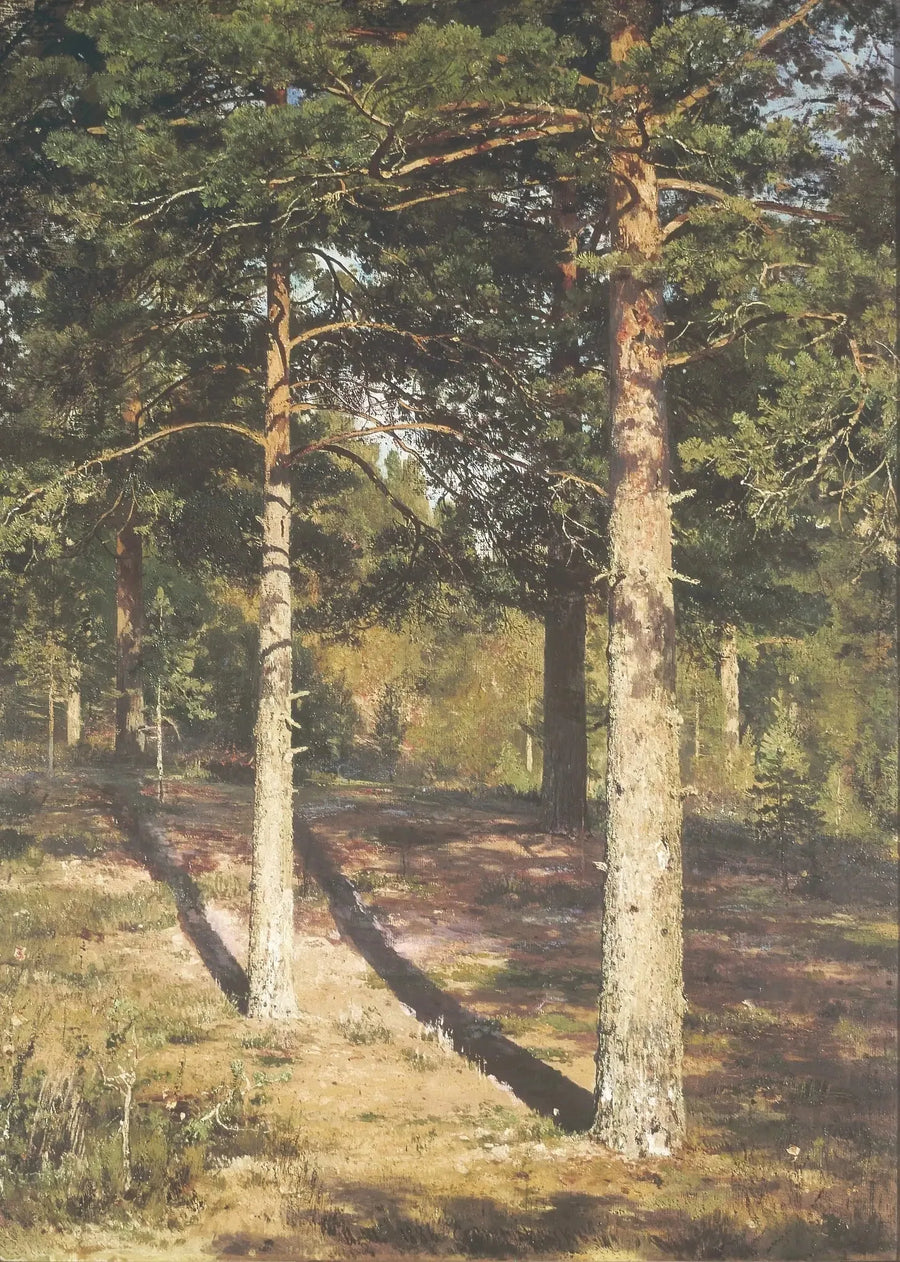 De zonnige dennenbomen - Ivan Chichkine

Source:
Les pins ensoleillés - Ivan Chichkine