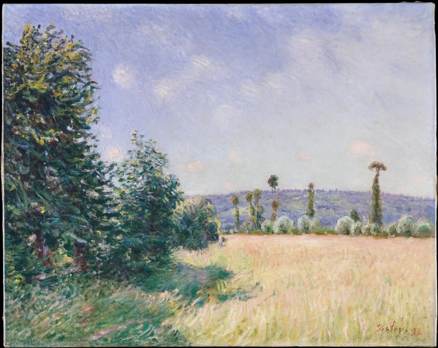 De Weiden van Sahurs in de ochtendzon - Alfred Sisley