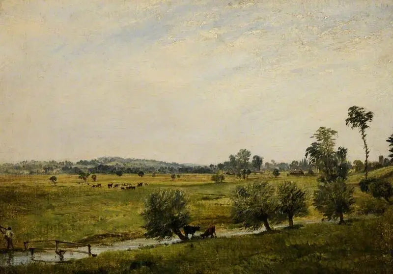 De vochtige weiden, Salisbury, Wiltshire - John Constable