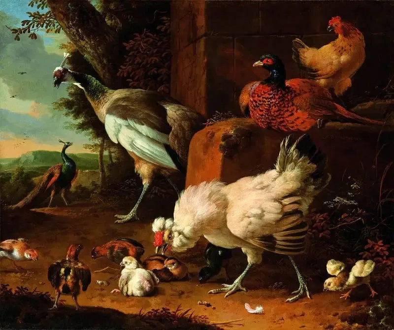 De huisdieren gevogelte met een fazant en pauwen. - Melchior de Hondecoeter
