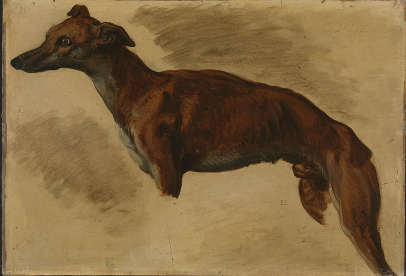 Windhond - Eugène Delacroix