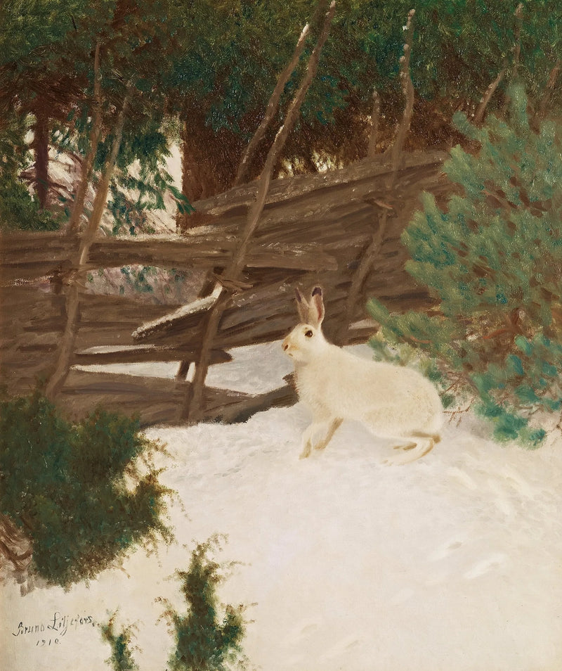 Lièvre d'hiver - Bruno Liljefors