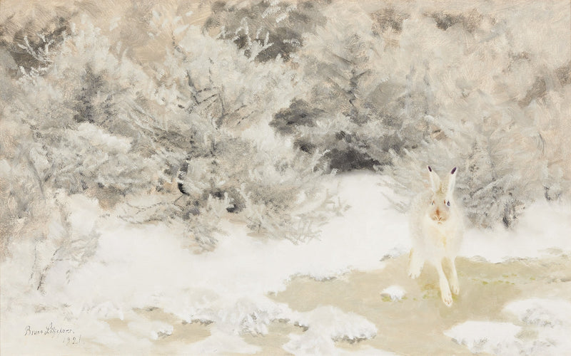 Lièvre d'hiver - Bruno Liljefors