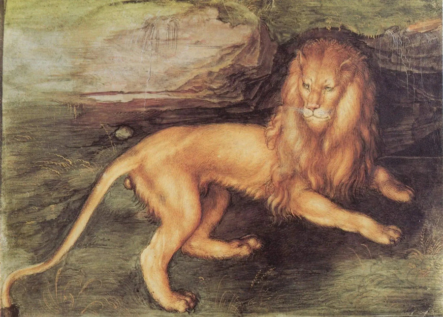Leeuw - Albrecht Dürer
