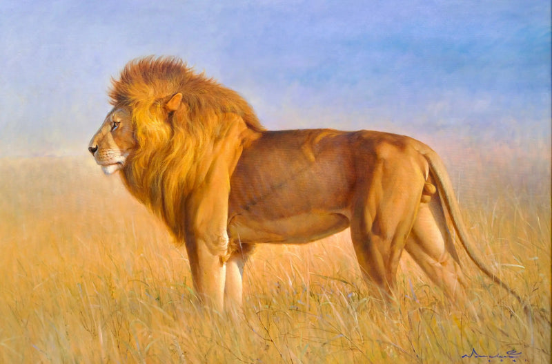 Leeuw in de savanne | 150x100cm