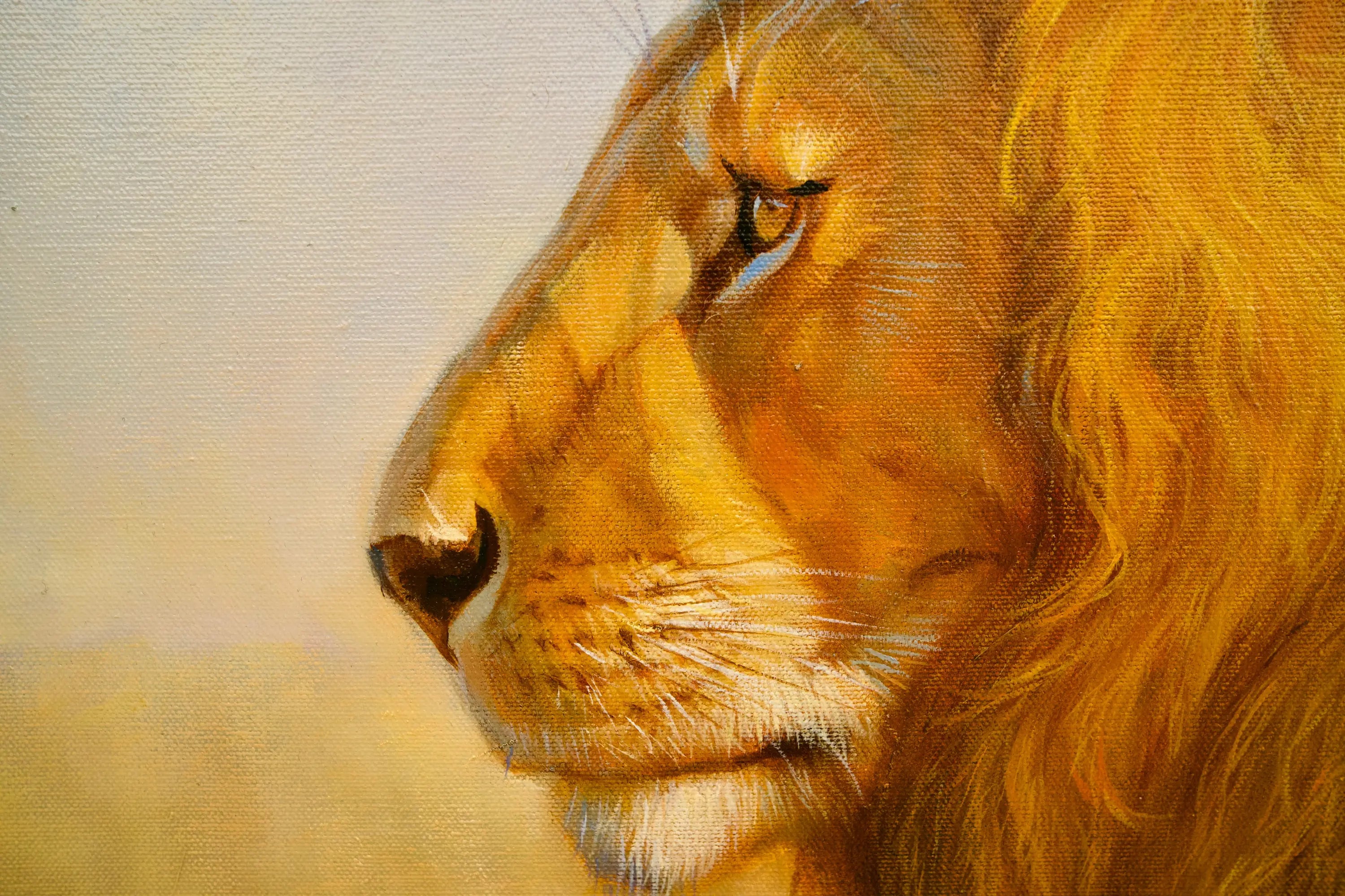 Lion dans la savane | 150 x 100 cm Reproductions de tableaux à la peinture à l’huile