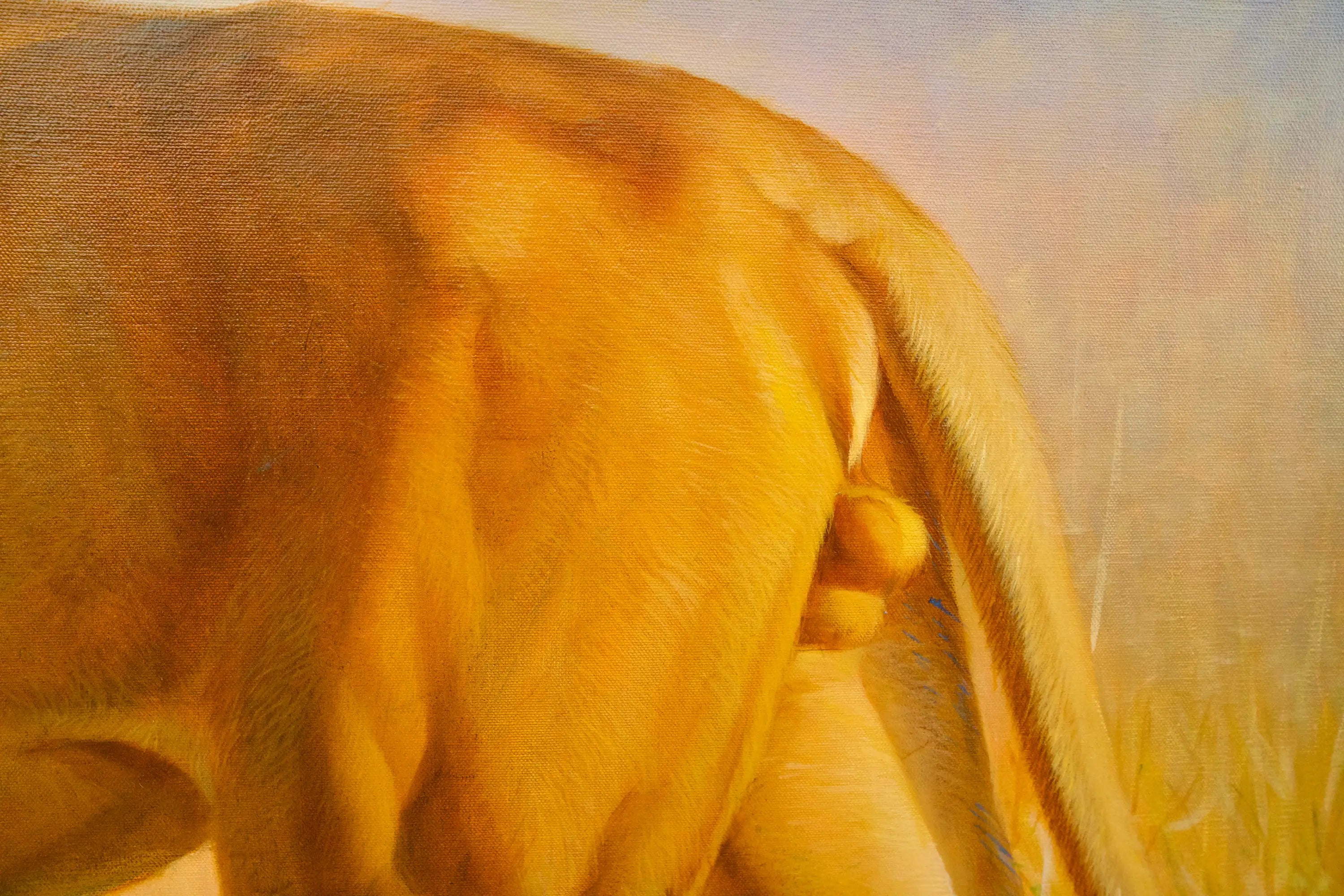 Lion dans la savane | 150 x 100 cm Reproductions de tableaux à la peinture à l’huile