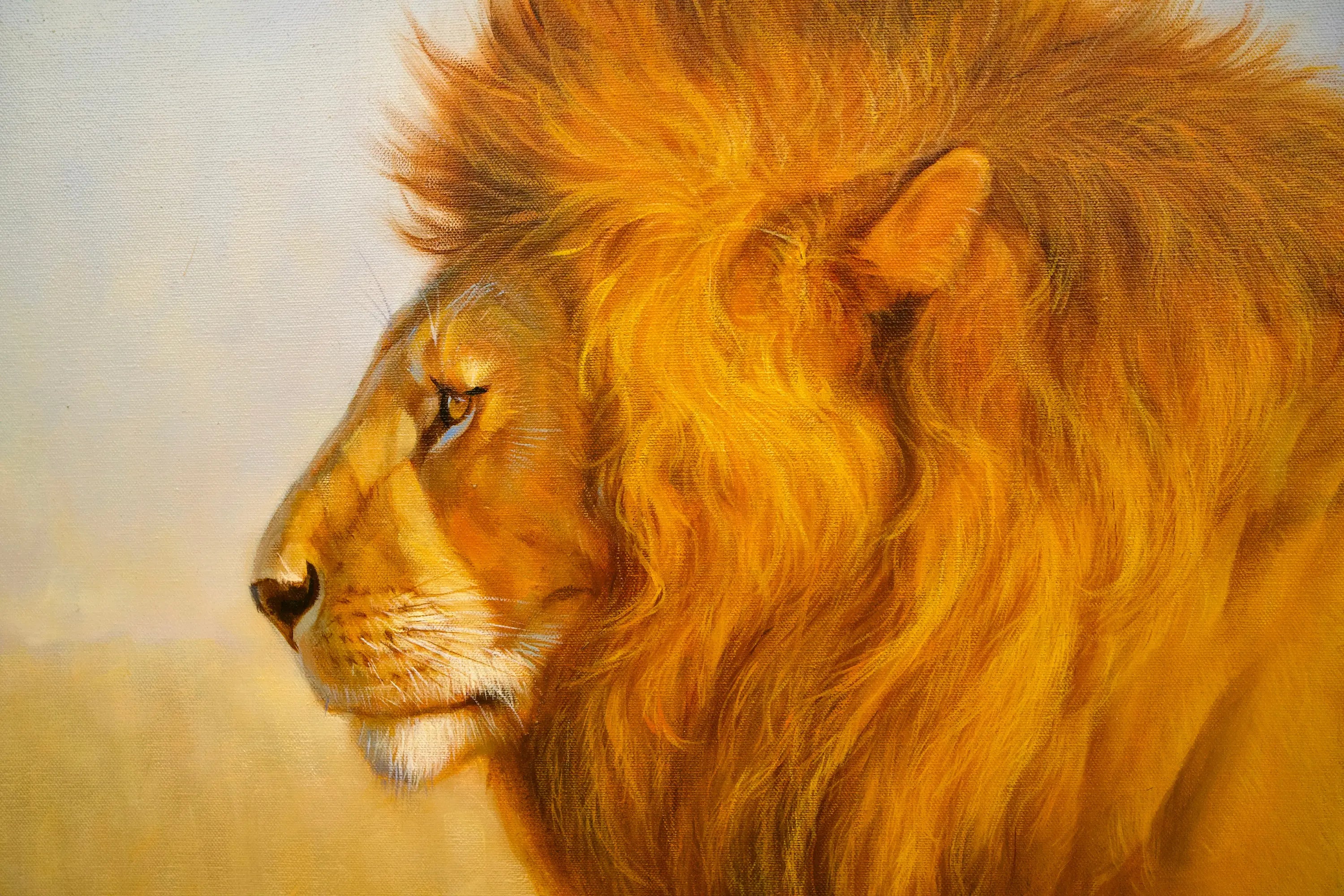 Lion dans la savane | 150 x 100 cm Reproductions de tableaux à la peinture à l’huile