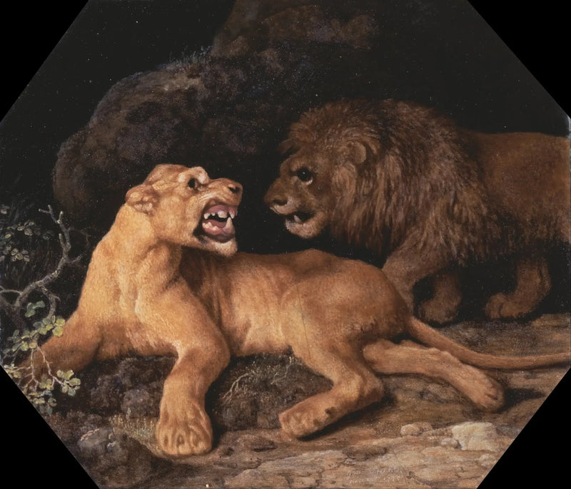 Leeuw en Leeuwin - George Stubbs

Source:
Lion et Lione - George Stubbs
