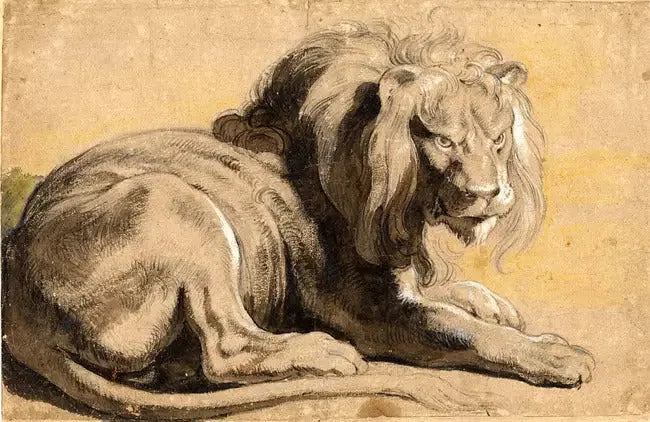 Leeuw - Peter Paul Rubens