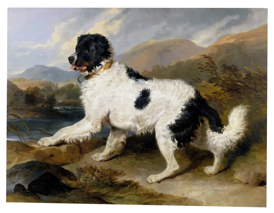 Leeuw, een Newfoundland-hond - Edwin Henry Landseer

Source:
Lion', un chien de Terre-Neuve - Edwin Henry Landseer
