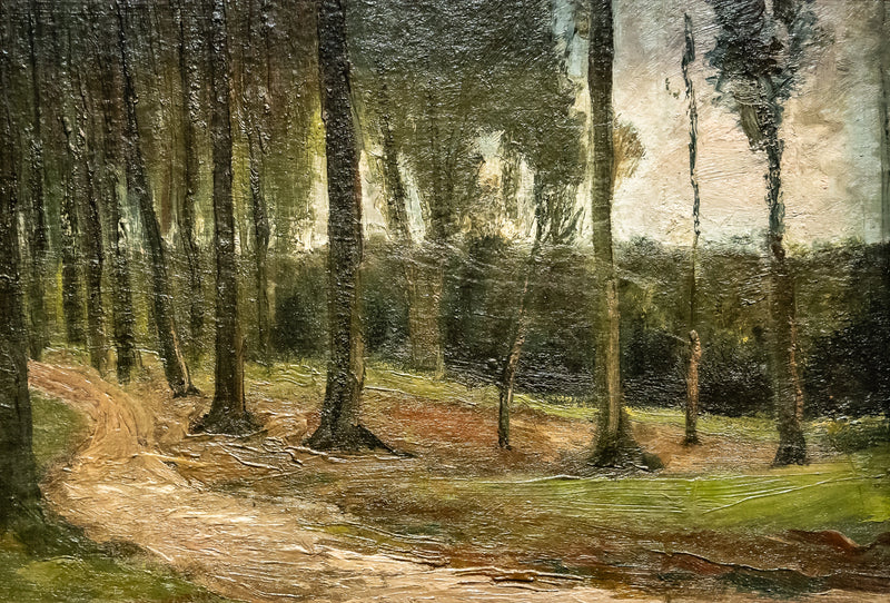 rand van een bos - Vincent van Gogh
