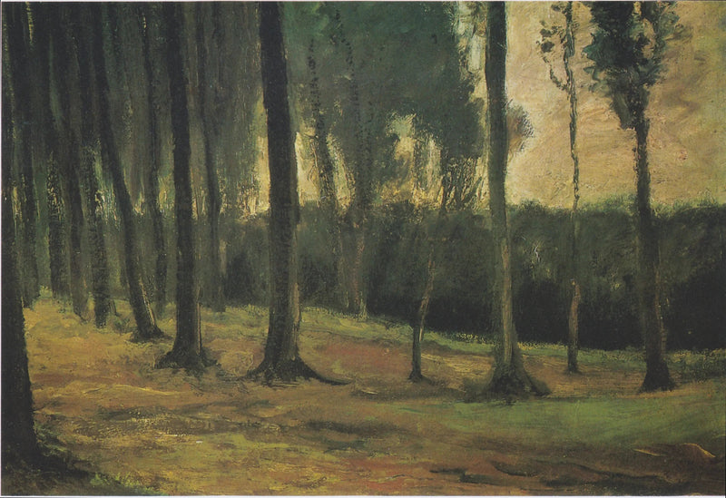 rand van een bos - Vincent van Gogh
