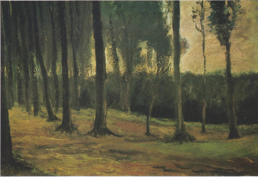 rand van een bos - Vincent van Gogh