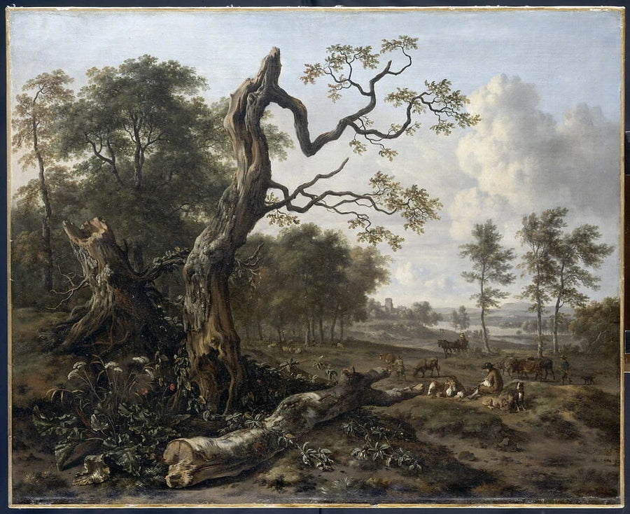 Lisière de forêt - Jan Wijnants