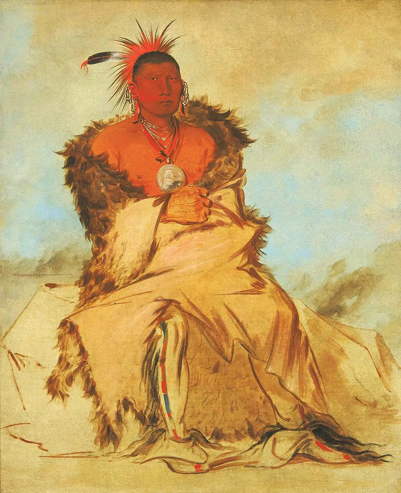 Loo-rá-wée-re-coo, Vogel die op oorlogspad gaat, een Pawnee-ruzie - George Catlin

Source:
Loo-rá-wée-re-coo, Oiseau qui part en guerre, un Tapage Pawnee - George Catlin
