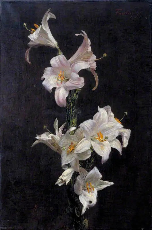 Witte lelies - Henri Fantin-Latour

Source:
Lys blancs - Henri Fantin-Latour