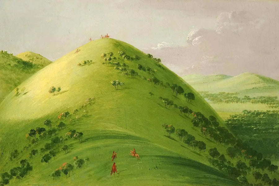 Prachtige weiden, Hoog-Mississippi - George Catlin

Source:
Magnifiques prairies, Haut-Mississippi - George Catlin
