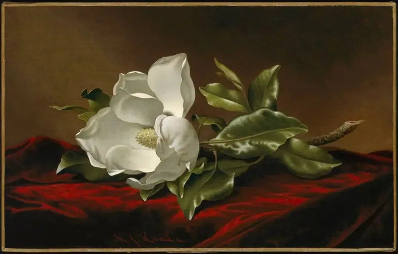 Magnolia grandiflora - Martin Johnson Heade

Source:
Magnolia grandiflora - Martin Johnson Heade