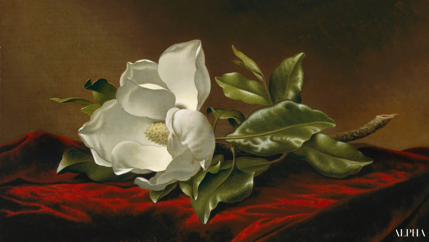 Magnolia Grandiflora - Martin Johnson Heade - Reproducties van hoogwaardige schilderijen en schilderijen