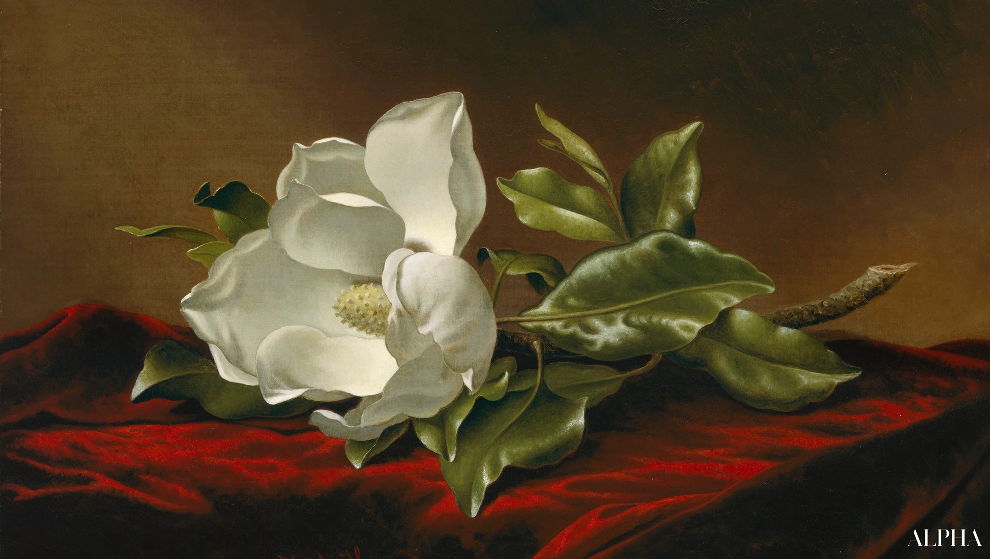 Magnolia Grandiflora - Martin Johnson Heade - Reproducties van hoogwaardige schilderijen en schilderijen