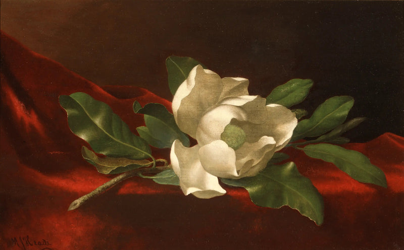 Magnolia - Martin Johnson Heade

Source:
Magnolia - Martin Johnson Heade