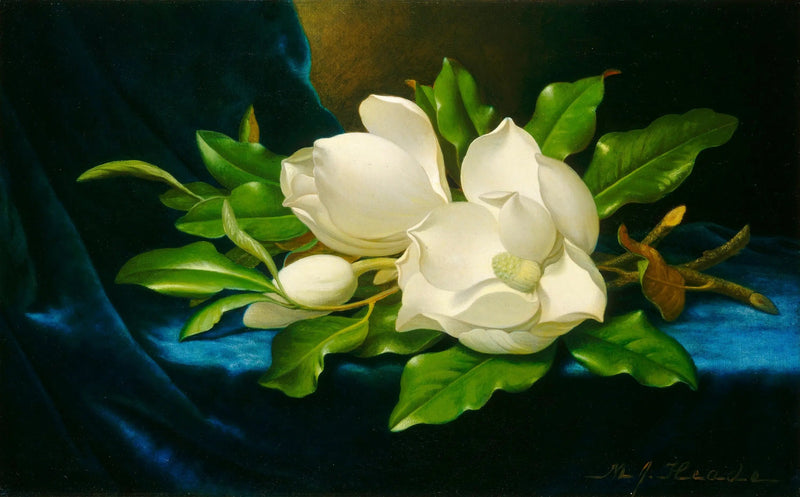 Reusachtige magnolia's op blauw fluweel - Martin Johnson Heade

Source:
Magnolias géants sur velours bleu - Martin Johnson Heade