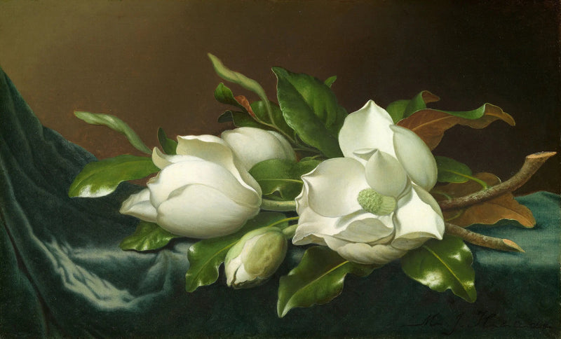 Magnolia's op lichtblauw fluwelen stof - Martin Johnson Heade

Source:
Magnolias sur tissu de velours bleu clair - Martin Johnson Heade