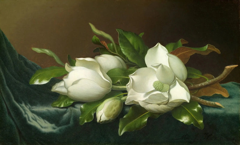 Magnolia's op lichtblauw fluwelen stof - Martin Johnson Heade

Source:
Magnolias sur tissu de velours bleu clair - Martin Johnson Heade