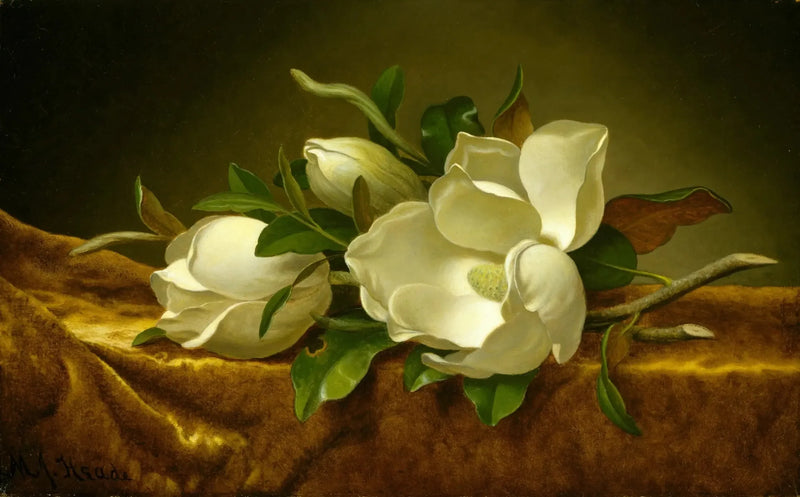 Magnolia's op goudkleurig fluwelen stof - Martin Johnson Heade

Source:
Magnolias sur tissu de velours doré - Martin Johnson Heade