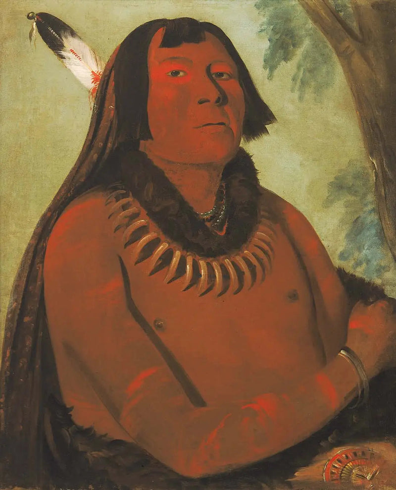 Mah-táhp-ta-a, haast zich naar het midden, een dappere - George Catlin

Source:
Mah-táhp-ta-a, se précipite au milieu, un brave - George Catlin