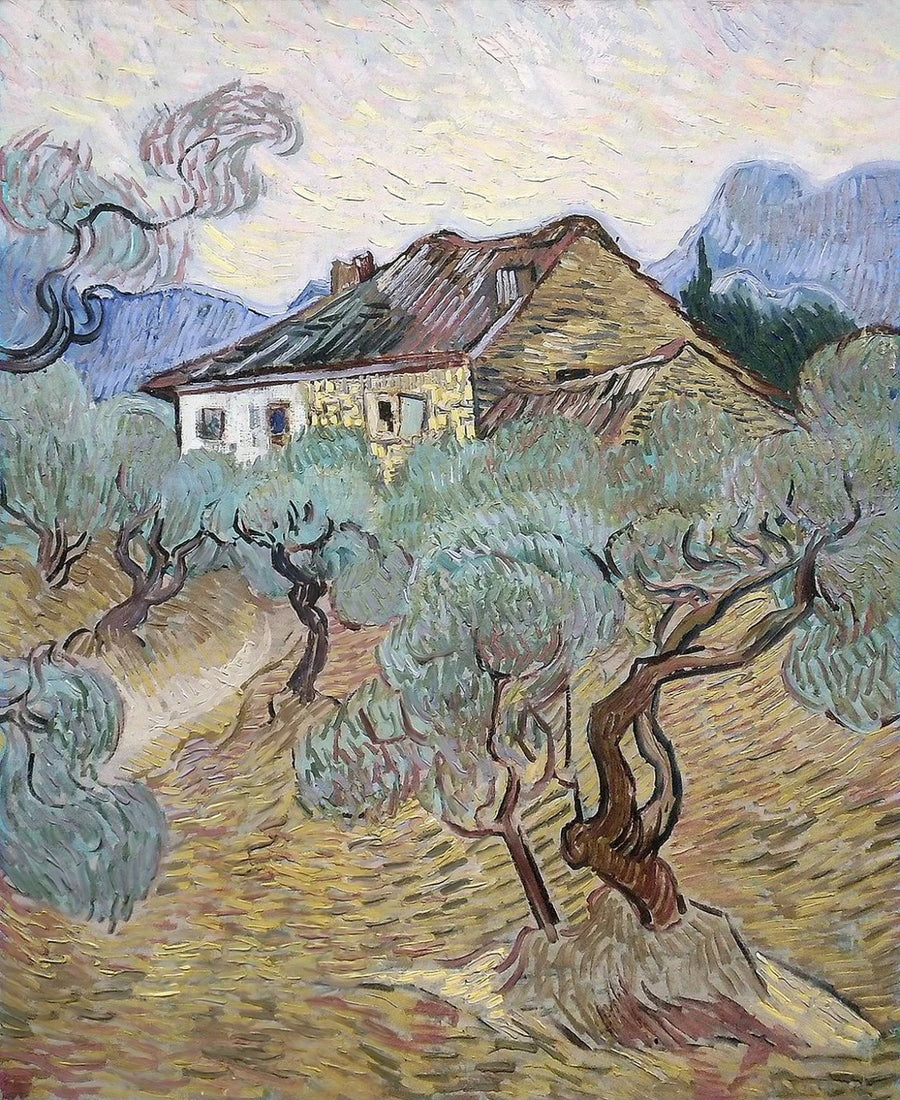 Het witte huis tussen de olijfbomen - Vincent van Gogh