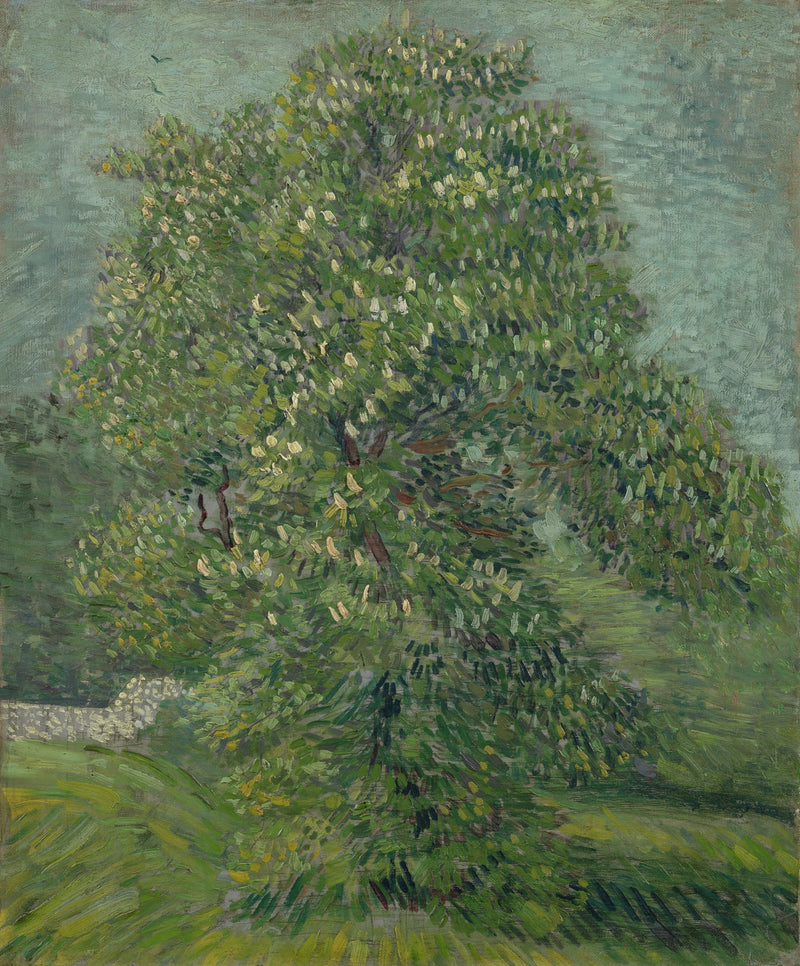 Paardenkastanje in bloei - Vincent van Gogh