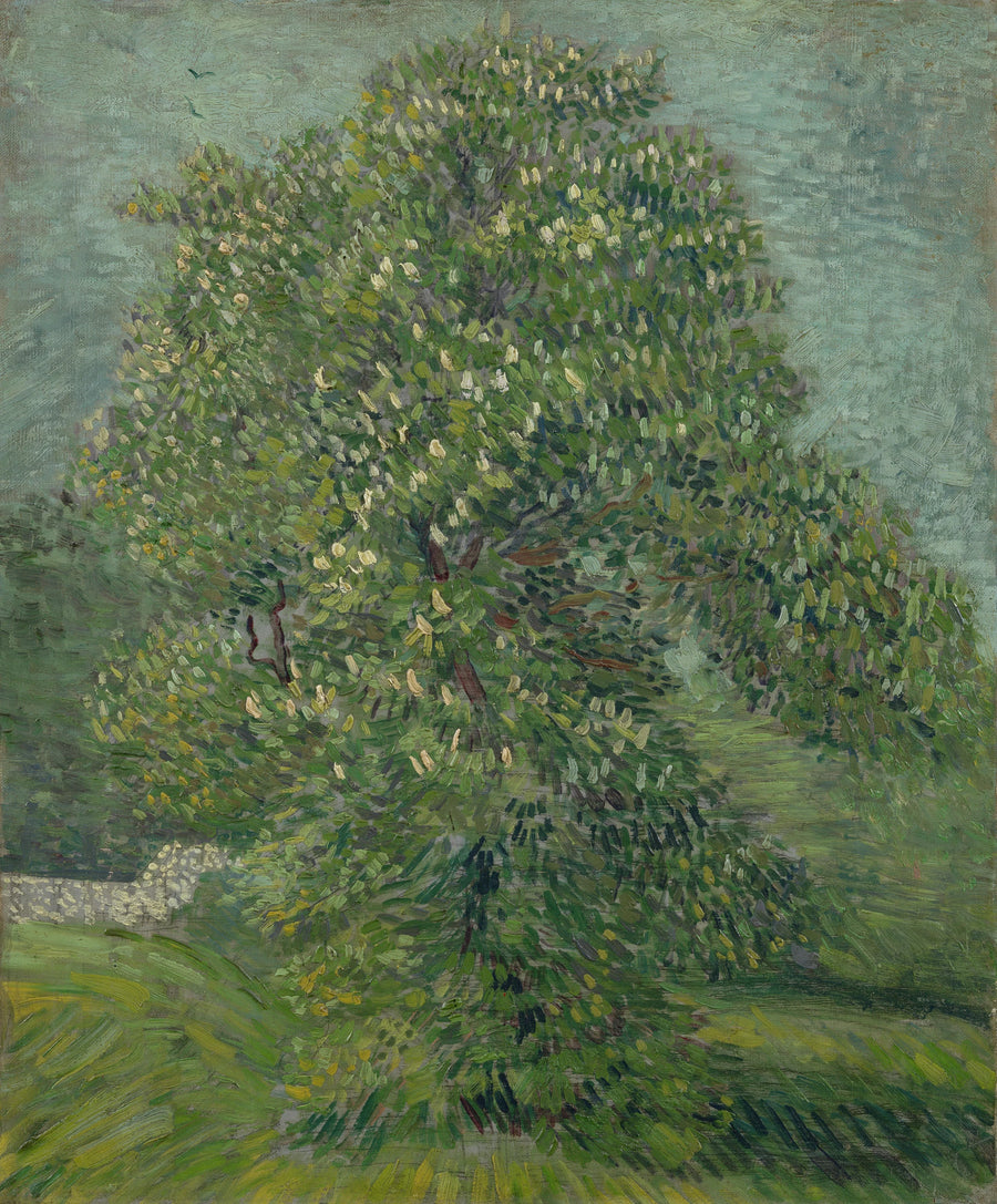Paardenkastanje in bloei - Vincent van Gogh