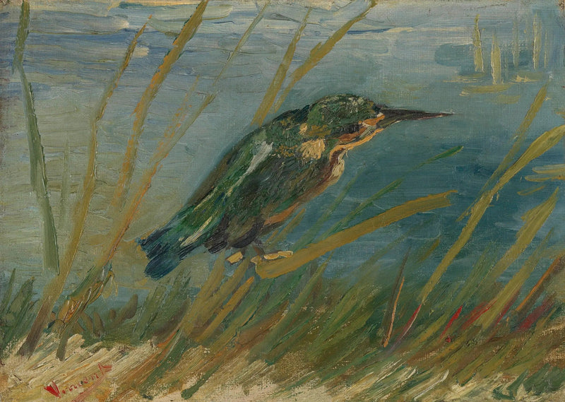 IJsvogel aan de waterkant - Vincent van Gogh