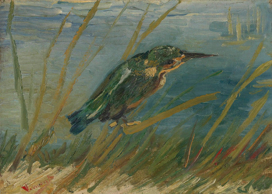 IJsvogel aan de waterkant - Vincent van Gogh
