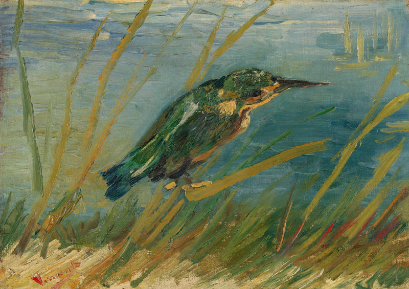 IJsvogel aan de waterkant - Vincent van Gogh