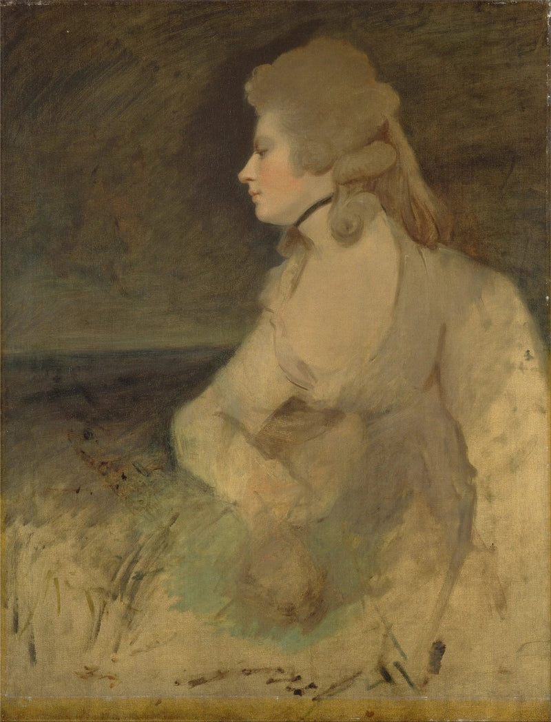 Mary Robinson (née Darby) - Joshua Reynolds

Source:
Mary Robinson (née Darby) - Joshua Reynolds