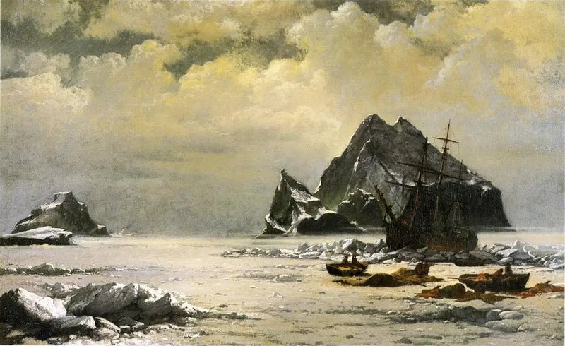 Ochtend in de ijsvelden van de Arctische - William Bradford

Source:
Matin dans les champs de glace de l'Arctique - William Bradford