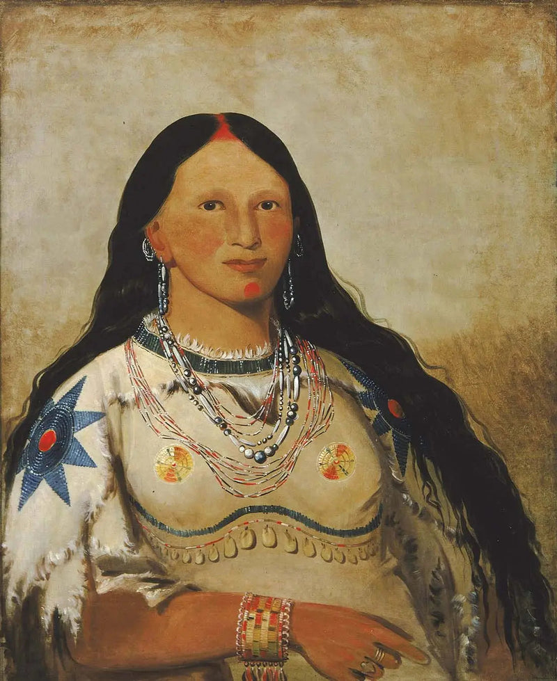 Mi-néek-ee-súnk-te-ka, Vison, een mooi meisje - George Catlin

Source:
Mi-néek-ee-súnk-te-ka, Vison, une belle fille - George Catlin