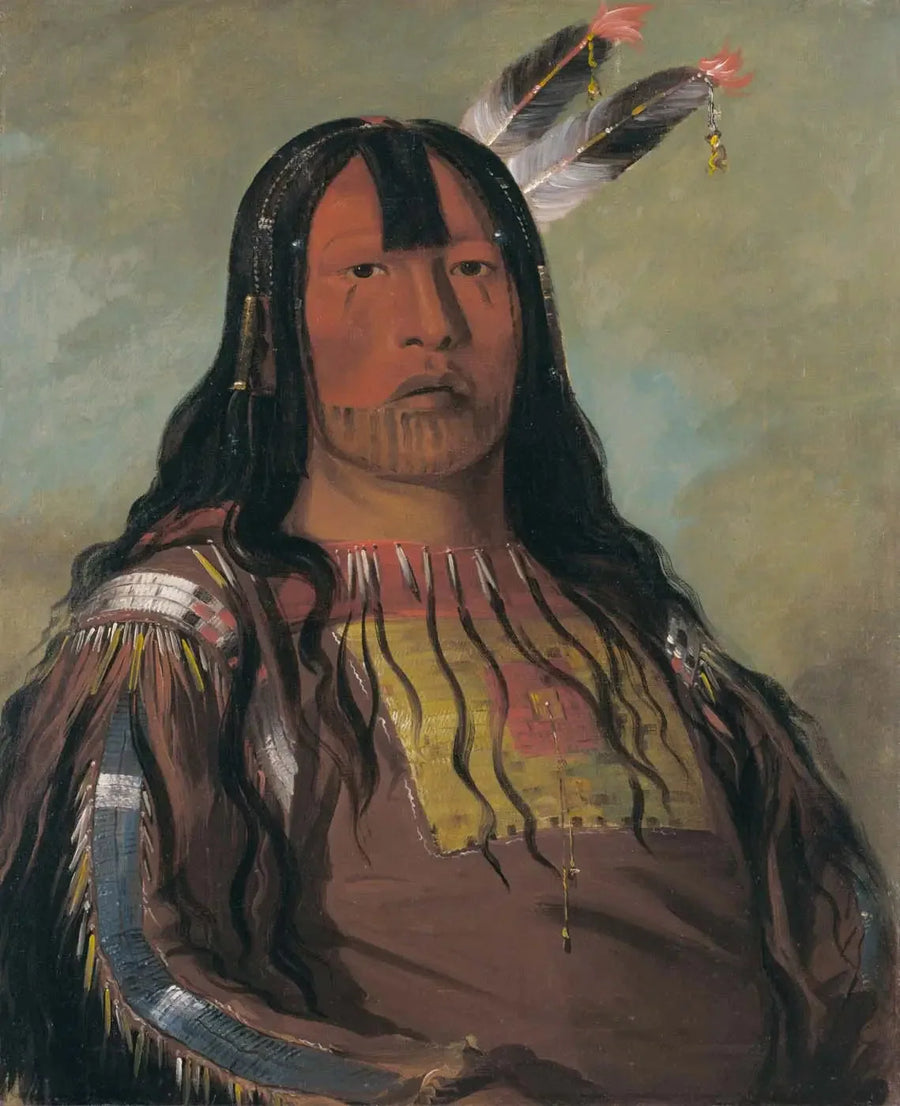 Mix-ke-móte-skin-na, ijzeren hoorn, een krijger - George Catlin

Source:
Mix-ke-móte-skin-na, Corne de Fer, un Guerrier - George Catlin