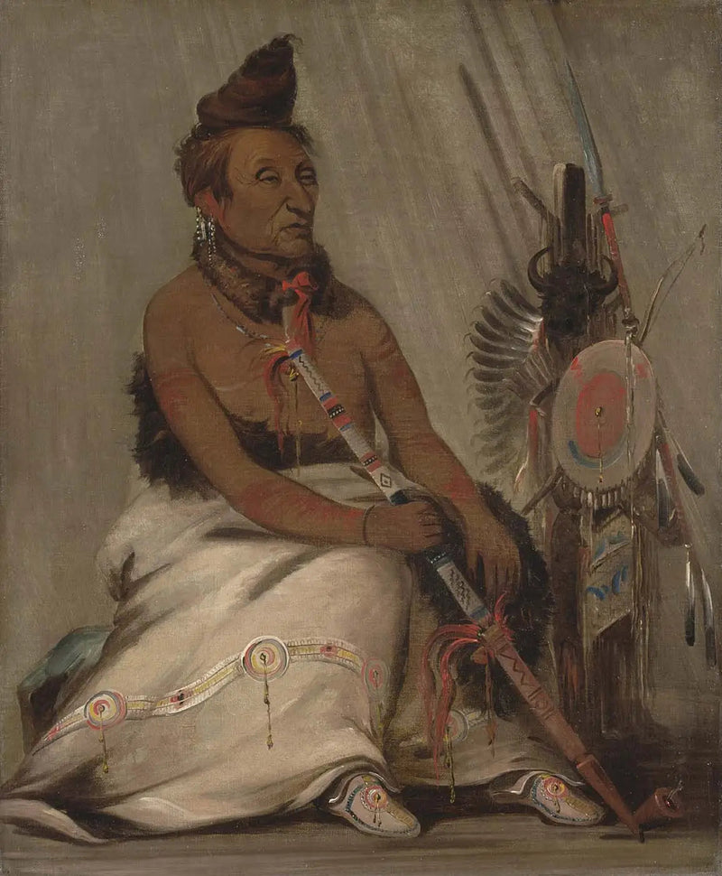 Zwart mocassin, Chef - George Catlin

Source:
Mocassin noir, Chef - George Catlin