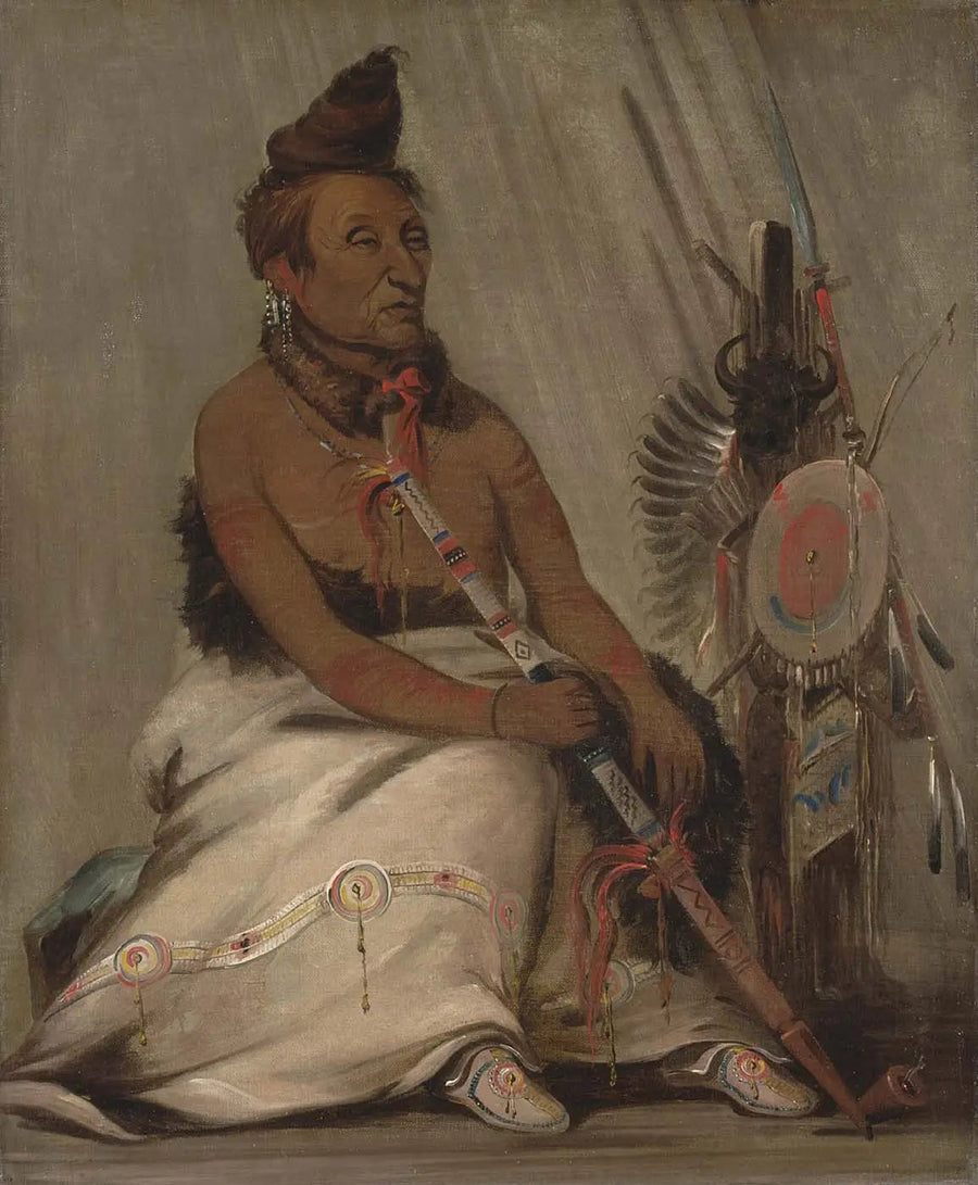 Zwart mocassin, Chef - George Catlin

Source:
Mocassin noir, Chef - George Catlin