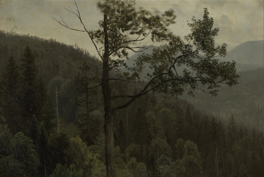 Montagnes couvertes d'arbres - Albert Bierstadt image 1 reproduction d’œuvre d’art à l’huile