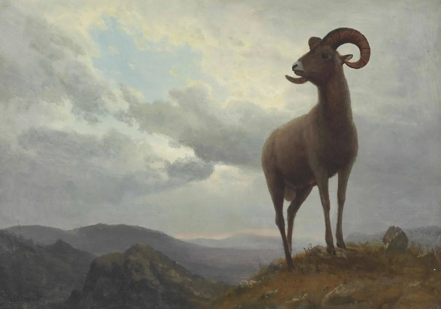 Langoorige ram - Albert Bierstadt

Source:
Mouton à longues cornes - Albert Bierstadt