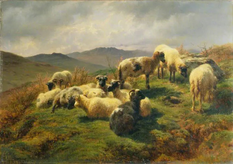 Schapen in de Hooglanden - Rosa Bonheur