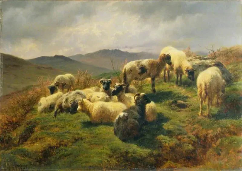 Schapen in de Hooglanden - Rosa Bonheur