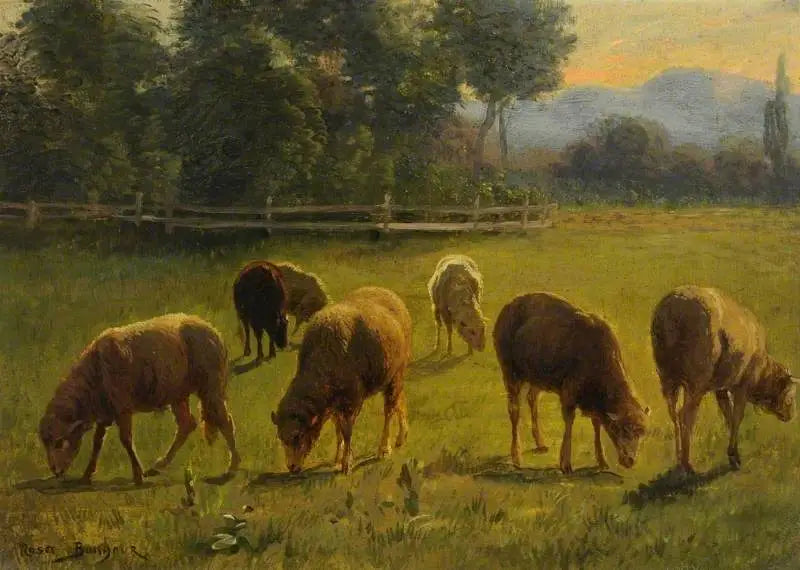 Schapen in een landschap - Rosa Bonheur